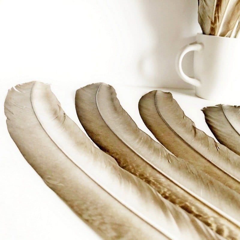 40-60 CM-S MADÁRTOLL 1 madártollak, dekor madártoll, kreatív alapanyag, kreatív kellék, kreatív dekor kellék