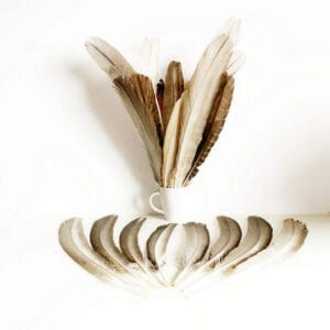 madártollak, madártoll dekor, kreatív alapanyag, kreatív kellék, kreatív dekor kellék