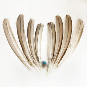 madártollak, madártoll dekor, kreatív alapanyag, kreatív kellék, kreatív dekor kellék