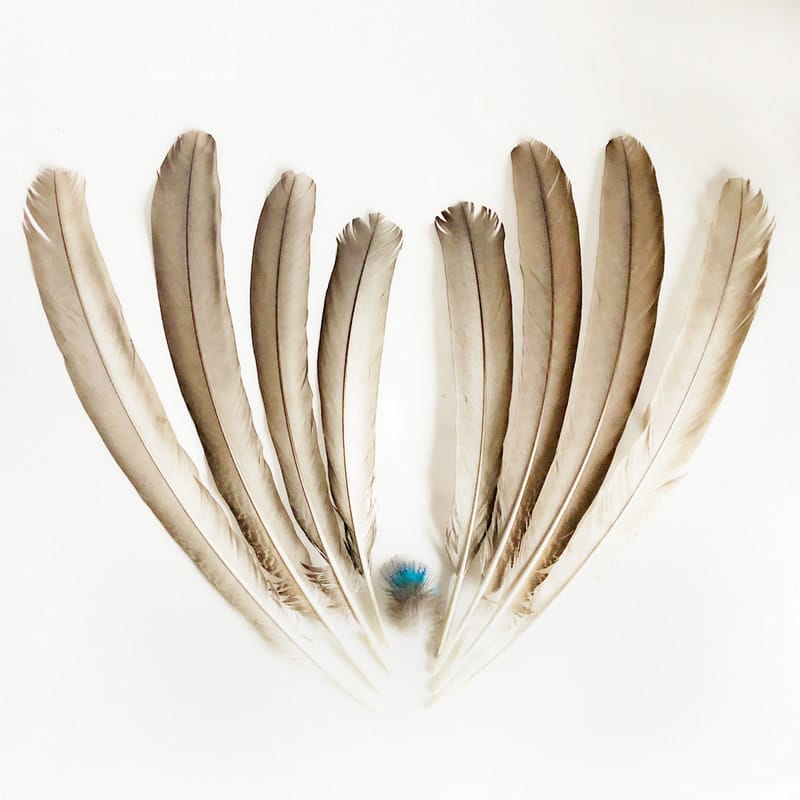 40-60 CM-S MADÁRTOLL 3 madártollak, madártoll dekor, kreatív alapanyag, kreatív kellék, kreatív dekor kellék