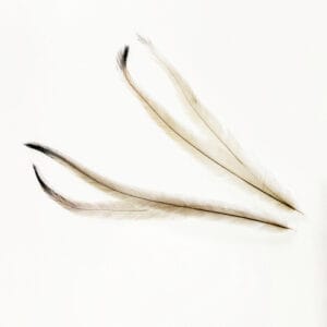 madártollak, dekor madártoll, kreatív alapanyag, kreatív kellék, kreatív dekor kellék