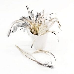 madártollak, dekor madártoll, kreatív alapanyag, kreatív kellék, kreatív dekor kellék