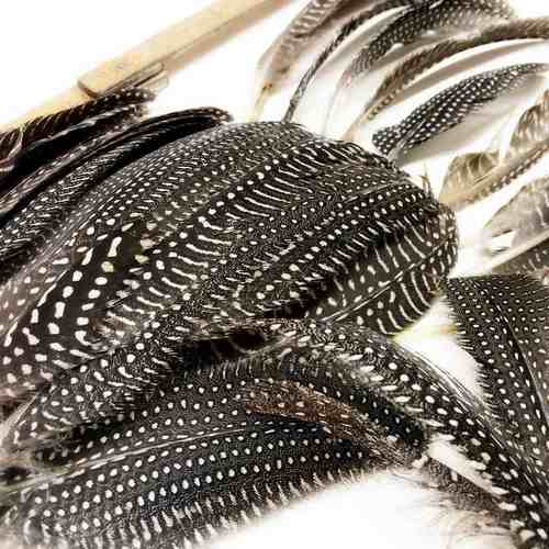 madártollak, dekor madártoll, kreatív alapanyag, kreatív kellék, kreatív dekor kellék