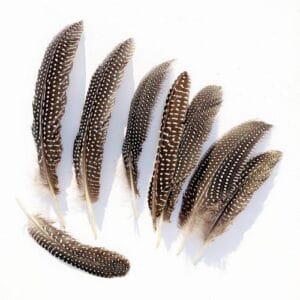 madártollak, dekor madártoll, kreatív alapanyag, kreatív kellék, kreatív dekor kellék