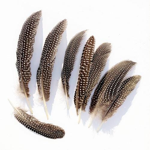 madártollak, dekor madártoll, kreatív alapanyag, kreatív kellék, kreatív dekor kellék