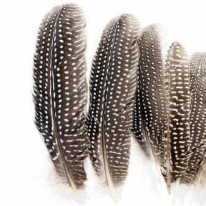 madártollak, dekor madártoll, kreatív alapanyag, kreatív kellék, kreatív dekor kellék