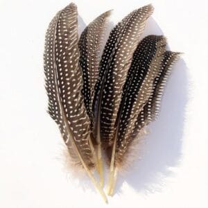 madártollak, dekor madártoll, kreatív alapanyag, kreatív kellék, kreatív dekor kellék