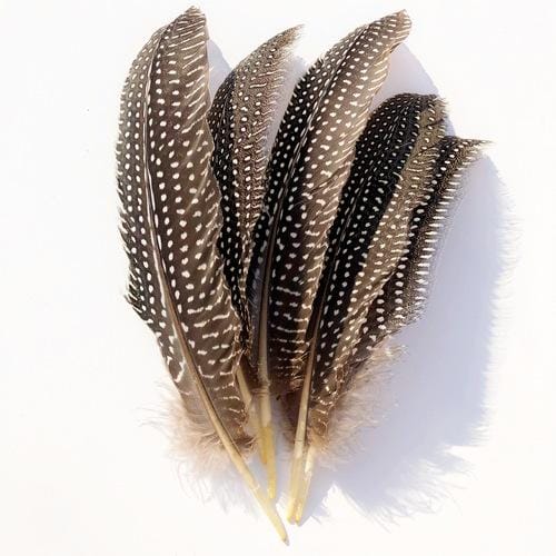 madártollak, dekor madártoll, kreatív alapanyag, kreatív kellék, kreatív dekor kellék