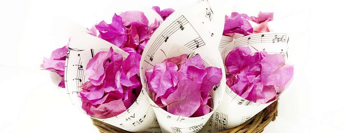 BOUGAINVILLEA 11 természetes esküvői konfetti, szárított szirom