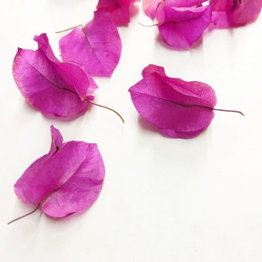 BOUGAINVILLEA 8 természetes esküvői konfetti, szárított szirom, esküvői szirom, konfetti szórás