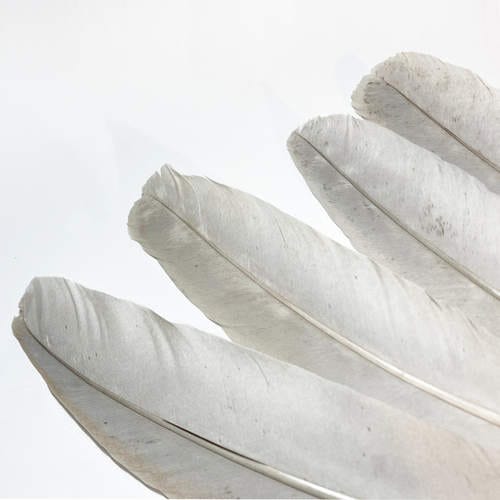 20-40 CM-S SZÜRKE MADÁRTOLL 4 madártollak, dekor madártoll, kreatív alapanyag, kreatív kellék, kreatív dekor kellék