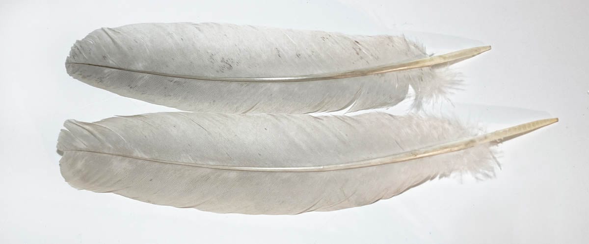 20-40 CM-S SZÜRKE MADÁRTOLL 7 madártollak, dekor madártoll, kreatív alapanyag, kreatív kellék, kreatív dekor kellék