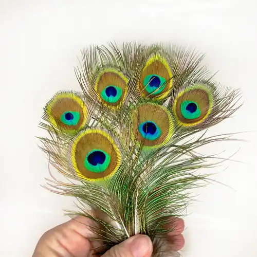 MINI PÁVATOLL 2 Zold nagy pava pihe 8