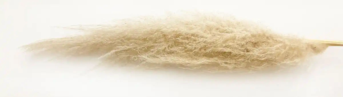 Pampafu eskuvo dekor 22