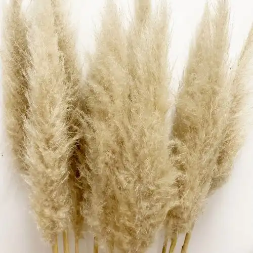 Pampafu eskuvo dekor 24