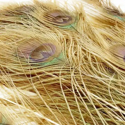 ARANY PÁVATOLL 3 Pávatollak