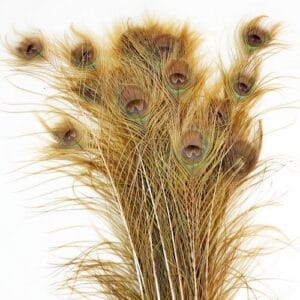 Pávatollak, dekorációk, padlóvázába, pávatoll különlegességek