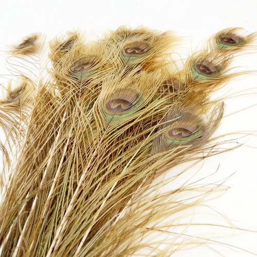 ARANY PÁVATOLL 1 Pávatollak, dekorációk, padlóvázába, pávatoll különlegességek