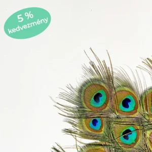 PÁVATOLL CSOMAG - S