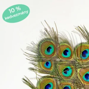 PÁVATOLL CSOMAG - M