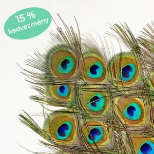 PÁVATOLL CSOMAG - L