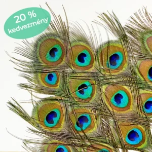 PÁVATOLL CSOMAG - XL