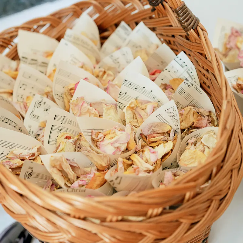 Paizs Dora 1 @evaarvaiphoto oszi kicsi