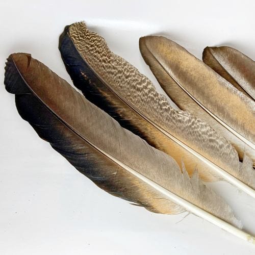 madártollak, dekor madártoll, kreatív alapanyag, kreatív kellék, kreatív dekor kellék