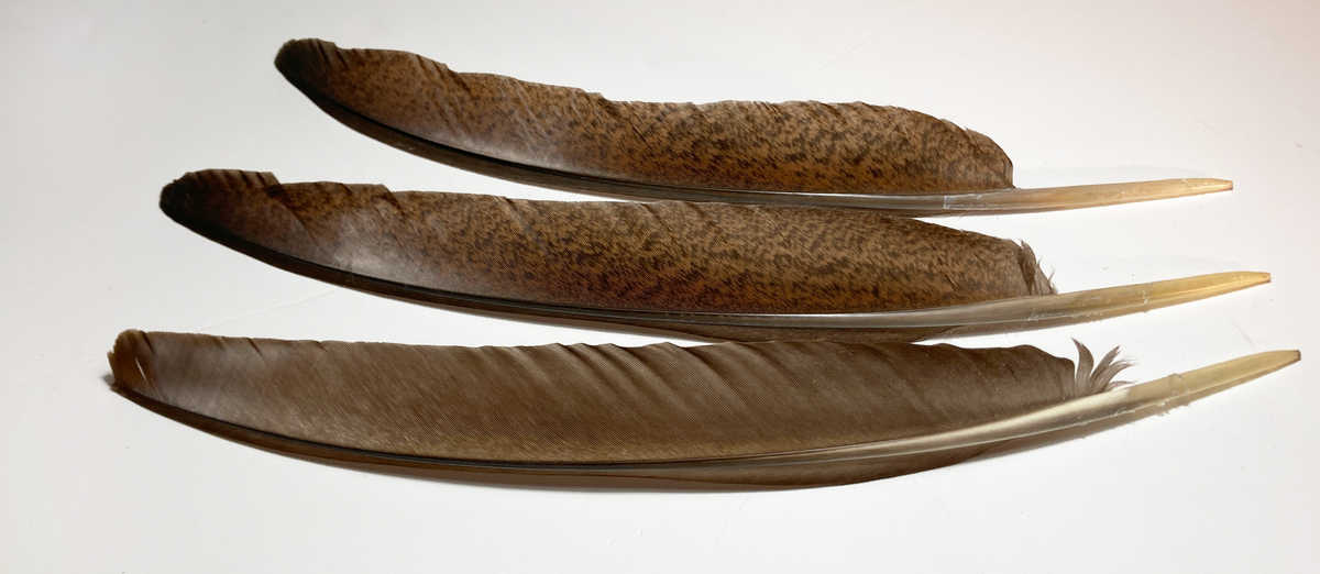 madártollak, dekor madártoll, kreatív alapanyag, kreatív kellék, kreatív dekor kellék