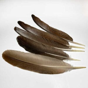 madártollak, dekor madártoll, kreatív alapanyag, kreatív kellék, kreatív dekor kellék