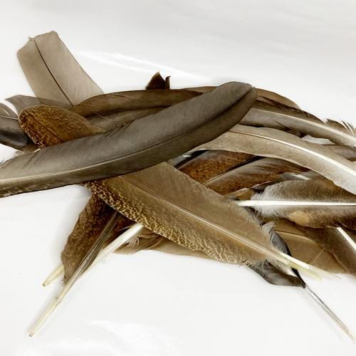 madártollak, dekor madártoll, kreatív alapanyag, kreatív kellék, kreatív dekor kellék