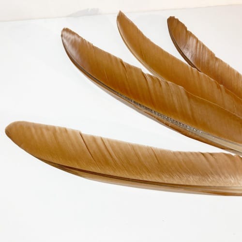 madártollak, dekor madártoll, kreatív alapanyag, kreatív kellék, kreatív dekor kellék