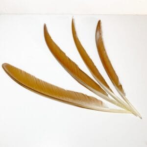 madártollak, dekor madártoll, kreatív alapanyag, kreatív kellék, kreatív dekor kellék