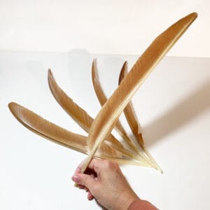 madártollak, dekor madártoll, kreatív alapanyag, kreatív kellék, kreatív dekor kellék