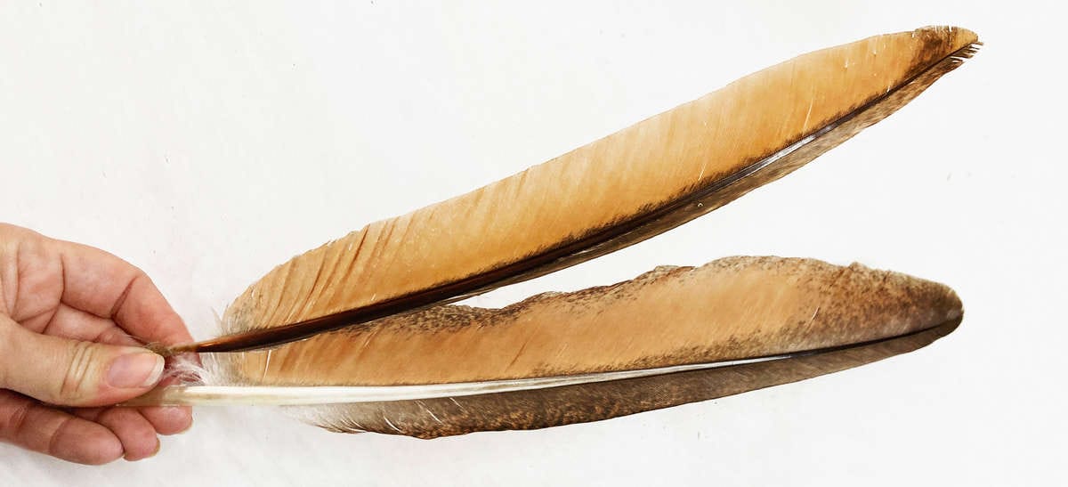 madártollak, dekor madártoll, kreatív alapanyag, kreatív kellék, kreatív dekor kellék