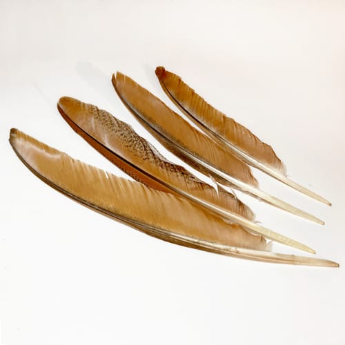 madártollak, dekor madártoll, kreatív alapanyag, kreatív kellék, kreatív dekor kellék