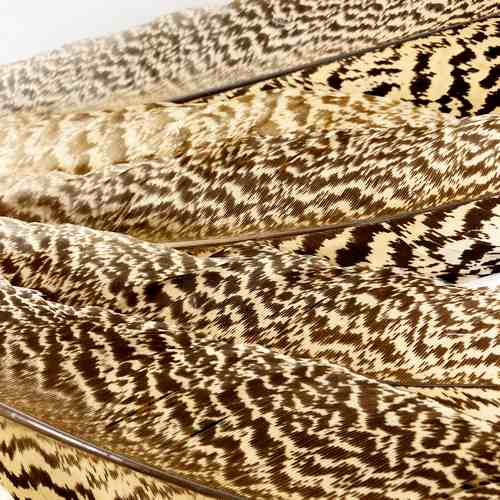 madártollak, dekor madártoll, kreatív alapanyag, kreatív kellék, kreatív dekor kellék