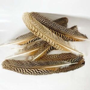 madártollak, dekor madártoll, kreatív alapanyag, kreatív kellék, kreatív dekor kellék