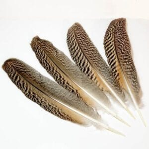 madártollak, dekor madártoll, kreatív alapanyag, kreatív kellék, kreatív dekor kellék