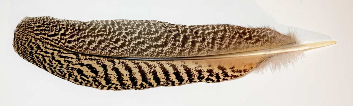 madártollak, dekor madártoll, kreatív alapanyag, kreatív kellék, kreatív dekor kellék