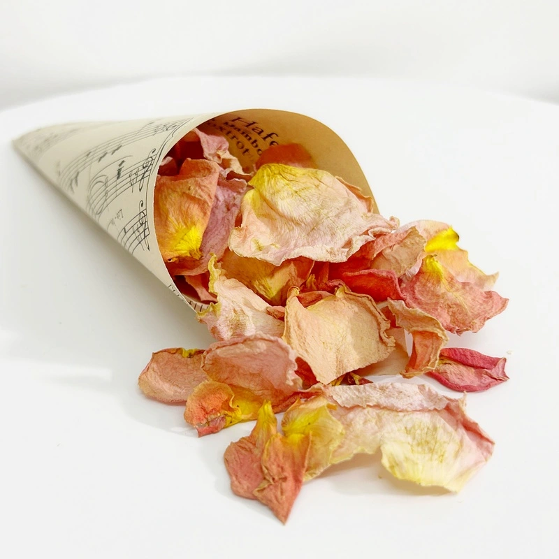 Szaritott barack rozsaszirom 1