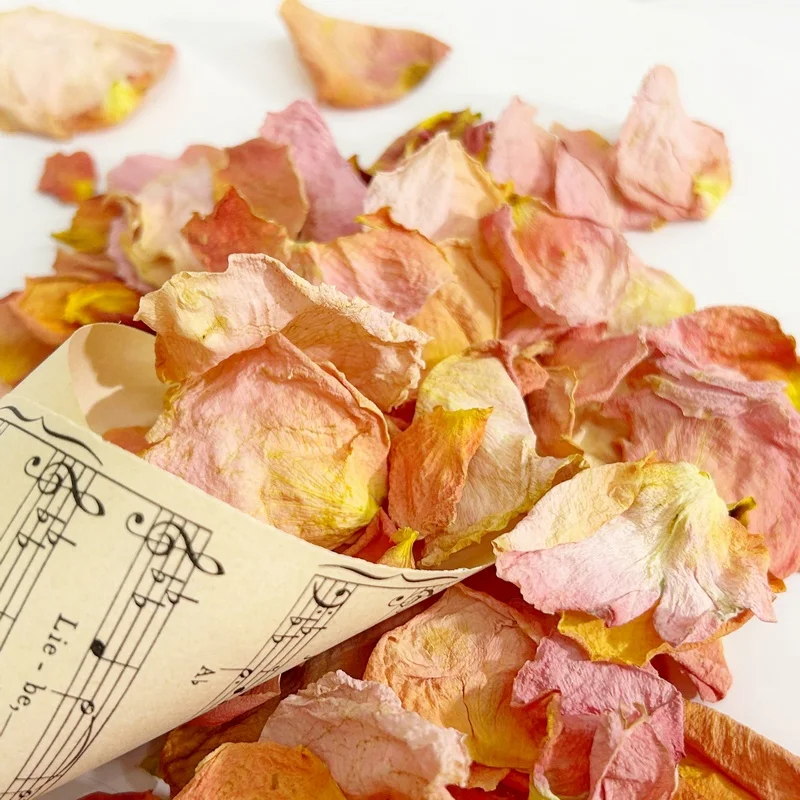 Szaritott barack rozsaszirom 4