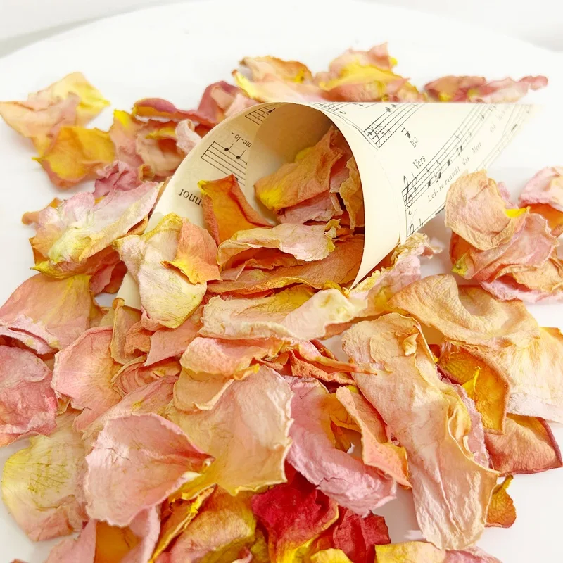 Szaritott barack rozsaszirom 6