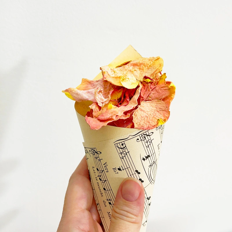 Szaritott barack rozsaszirom 7