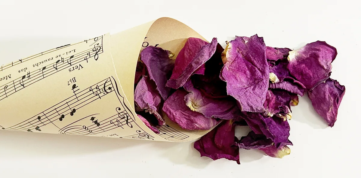 Szaritott lila rozsaszirom 2