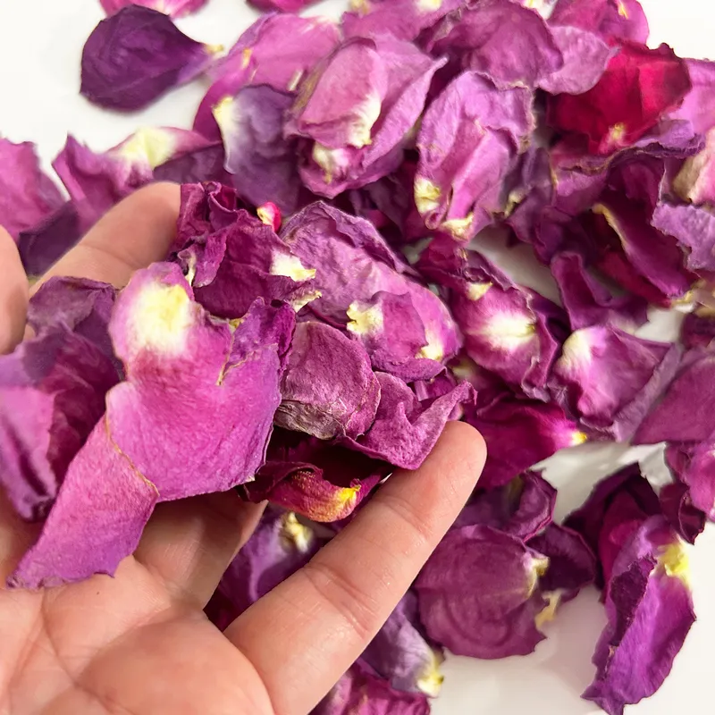 Szaritott lila rozsaszirom 3