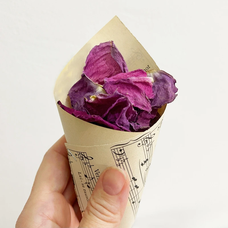 Szaritott lila rozsaszirom 4