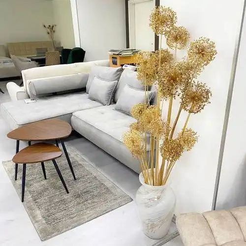 léggömbhagyma padlóvázában