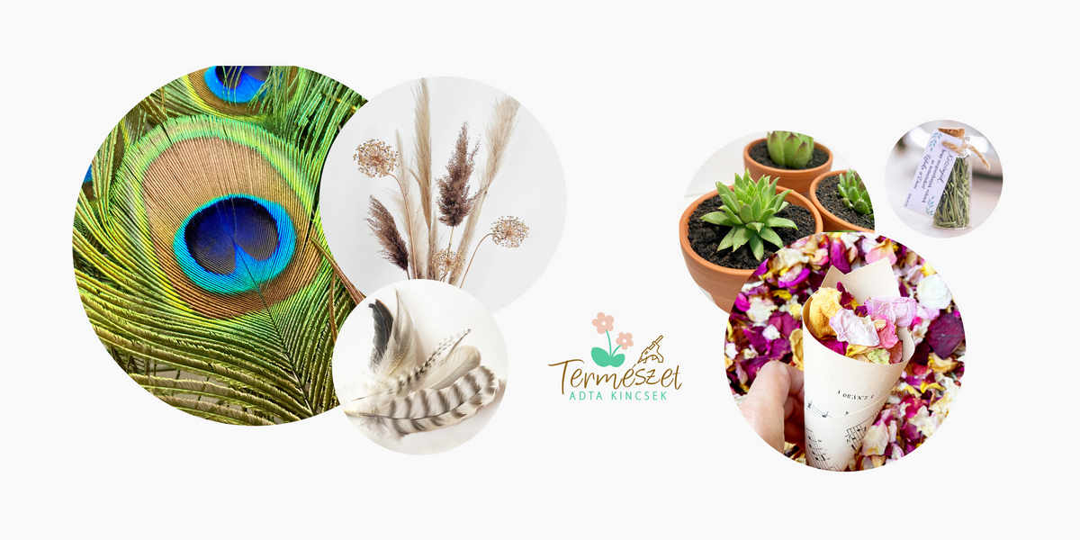 KÉK PÁVATOLL 31 Fooldal tak s