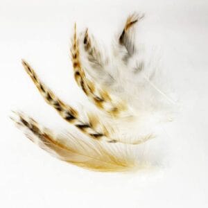 madártollak, madártoll dekor, kreatív alapanyag, kreatív kellék, kreatív dekor kellék